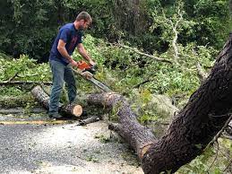 Best Seasonal Cleanup (Spring/Fall)  in Mansfield, OH