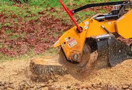 Best Tree Maintenance Programs  in Mansfield, OH