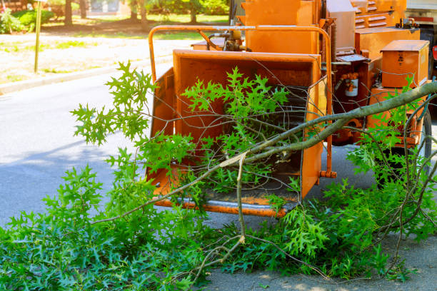 Best Lawn Mowing  in Mansfield, OH