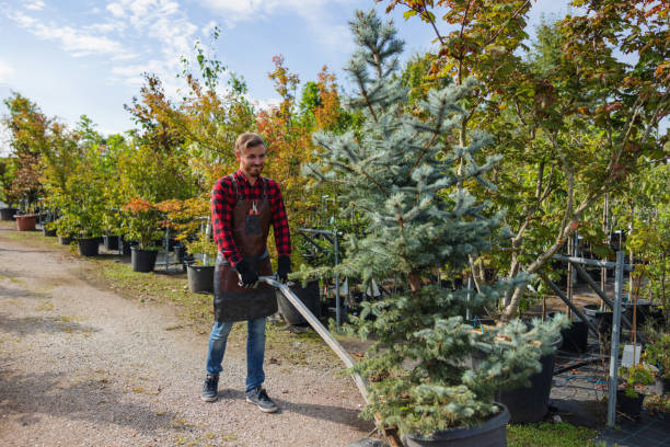 Best Tree Preservation Services  in Mansfield, OH