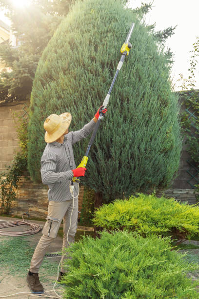 Best Organic Lawn Care Solutions  in Mansfield, OH